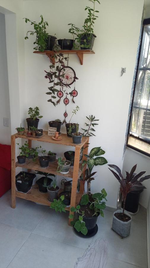 Apartament Fique No Bairro Mais Encantador De Salvador - Ba Zewnętrze zdjęcie